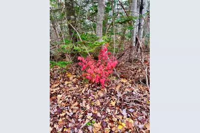 38 Indian Point Road, Bar Harbor, ME 04609 - Photo 61