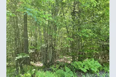 Mu23 L19B Holley Road, Farmington, ME 04938 - Photo 3