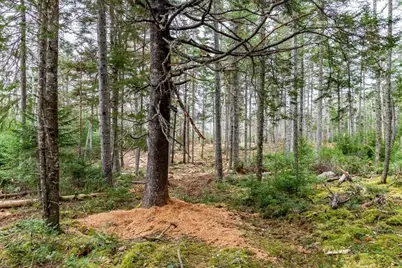 Lot 11 Quiet  Shore Road, Steuben, ME 04680 - Photo 19