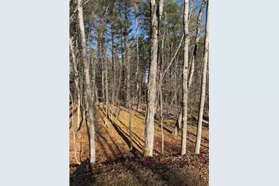 M39L26 Pine Street, Dover Foxcroft, ME 04426 - Photo 5