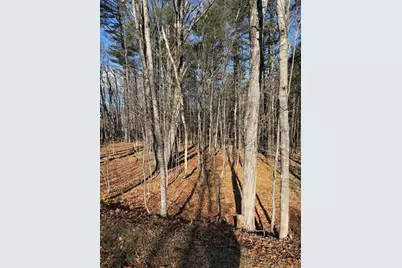 M39L26 Pine Street, Dover Foxcroft, ME 04426 - Photo 11