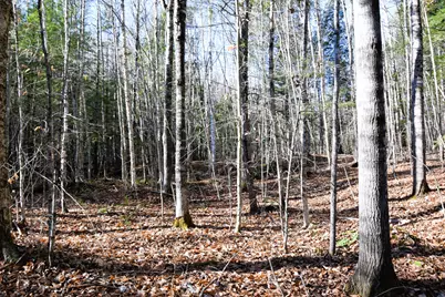 M7 L19-5 Pine Bluff Road, Embden, ME 04958 - Photo 3