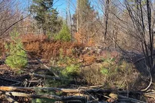 M 6 L 32 Main St, Wayne, ME 04284 - Photo 1