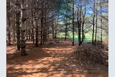 Lot 4 Emery Road, Parsonsfield, ME 04047 - Photo 9