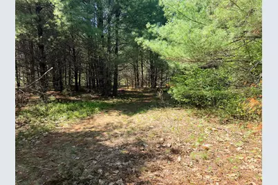 Lot 4 Emery Road, Parsonsfield, ME 04047 - Photo 11