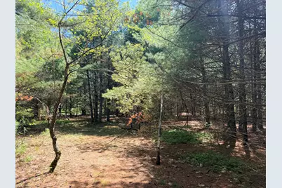Lot 4 Emery Road, Parsonsfield, ME 04047 - Photo 7