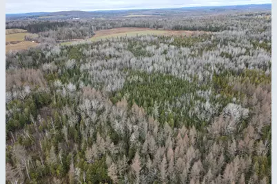 481 Plante Road, Caribou, ME 04736 - Photo 11