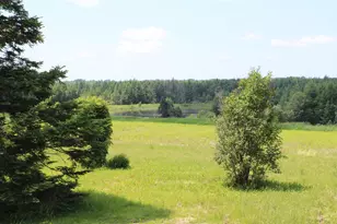 385 Carson Rd, Woodland, ME 04736 - Photo 7