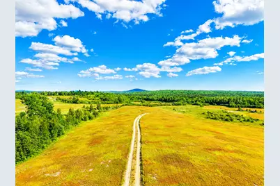 Map19Lot28 Leach Road, Penobscot, ME 04476 - Photo 1