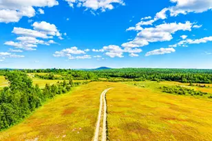 Map19Lot28 Leach Rd, Penobscot, ME 04476 - Photo 1