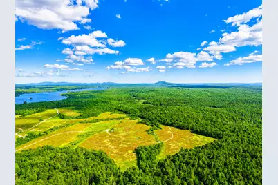 Map19Lot28 Leach Road, Penobscot, ME 04476 - Photo 11