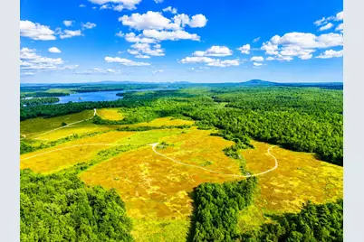 Map19Lot28 Leach Road, Penobscot, ME 04476 - Photo 7