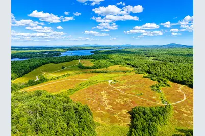 Map19Lot28 Leach Road, Penobscot, ME 04476 - Photo 9