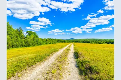 Map19Lot28 Leach Road, Penobscot, ME 04476 - Photo 3