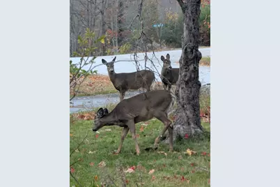 165 Old Stage Road, Norway, ME 04268 - Photo 57