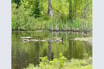 12 Morgan Road, Pembroke, ME 04666 - Photo 25