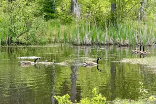 12 Morgan Rd, Pembroke, ME 04666 - Photo 23