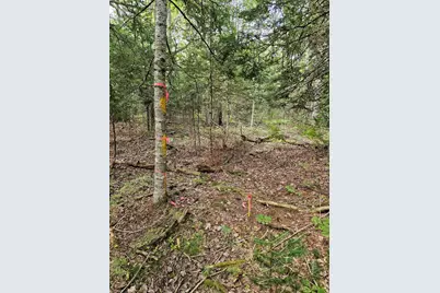 M2, L4 Off Sacarap Road, Columbia Falls, ME 04623 - Photo 7