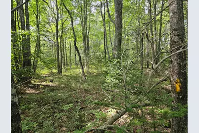 M2, L4 Off Sacarap Road, Columbia Falls, ME 04623 - Photo 9