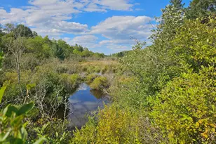 M2 L4 Off Sacarap Rd, Columbia Falls, ME 04623 - Photo 1