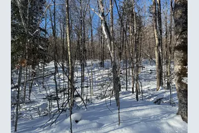 Lot 7 Curtis Farm Road, Lincoln, ME 04457 - Photo 15