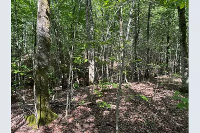 Lot 7 Curtis Farm Road, Lincoln, ME 04457 - Photo 3