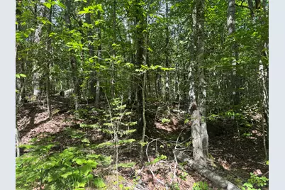 Lot 7 Curtis Farm Road, Lincoln, ME 04457 - Photo 7