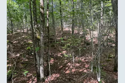 Lot 7 Curtis Farm Road, Lincoln, ME 04457 - Photo 9