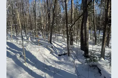 Lot 7 Curtis Farm Road, Lincoln, ME 04457 - Photo 21