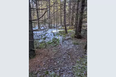 19 Tamarack Lane, Cushing, ME 04563 - Photo 11