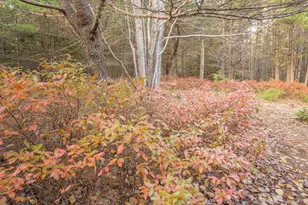12 Hall Quarry Rd, Mount Desert, ME 04660 - Photo 25