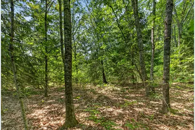 Lot #4 Lewis Hill Road, Newcastle, ME 04553 - Photo 9