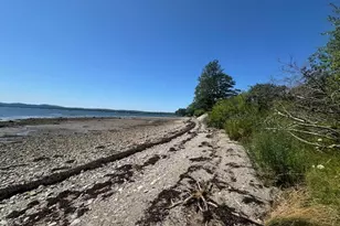 11 Treat St, Belfast, ME 04915 - Photo 59