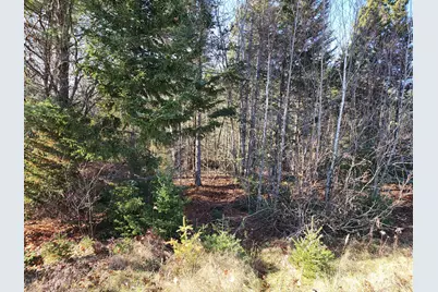 41 Sandy Ridge Lane, Searsport, ME 04974 - Photo 3