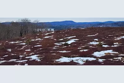 3 Whispering Berries Hill, Liberty, ME 04949 - Photo 3