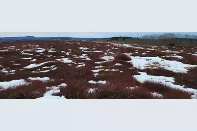 3 Whispering Berries Hill, Liberty, ME 04949 - Photo 5