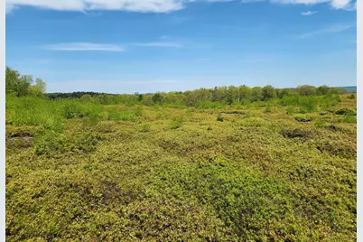 3 Whispering Berries Hill, Liberty, ME 04949 - Photo 21
