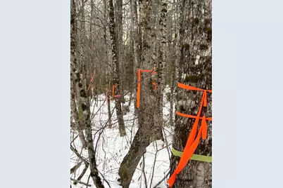 M4L3,5 Fickett Road, Etna, ME 04434 - Photo 11
