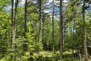 M4L3 5 Fickett Rd, Etna, ME 04434 - Photo 1