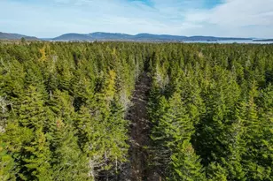000 Seawall Map/Lot 17/11-02 Rd, Southwest Harbor, ME 04679 - Photo 11
