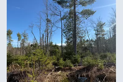 429 Morgan Bay Road, Surry, ME 04684 - Photo 3