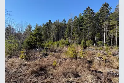 429 Morgan Bay Road, Surry, ME 04684 - Photo 5