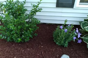 19 Pendleton Rd, Searsport, ME 04974 - Photo 35