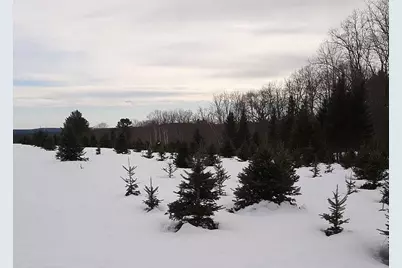 159 Moose Hill Road, Fayette, ME 04349 - Photo 67