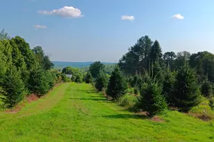 159 Moose Hill Rd, Fayette, ME 04349 - Photo 85