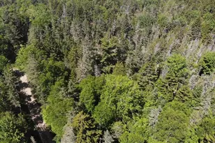 0 Flye Point, Brooklin, ME 04616 - Photo 1
