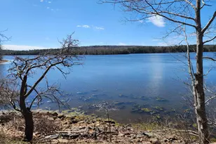 141 Gross Point Rd, Orland, ME 04472 - Photo 3