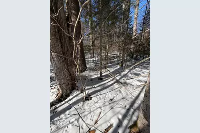 10 Merriman Drive #10, Bethel, ME 04217 - Photo 3