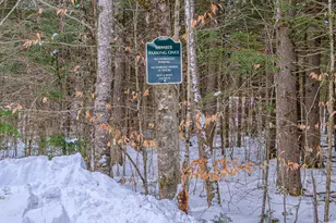 5 Whippoorwill Dr, Naples, ME 04055 - Photo 87