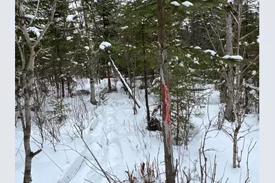Lot 2-18 Shin Pond Road, Mount Chase, ME 04765 - Photo 33